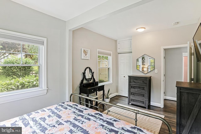 621 Jumpers Hole Rd, Severna Park, MD 21146 - bedroom featuring dark wood-style floors, baseboards, and a closet