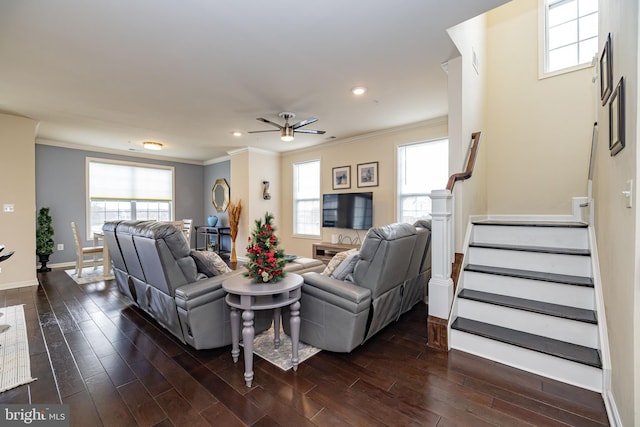 living room with crown molding, stairs, baseboards, plenty of natural light, and dark wood-style flooring