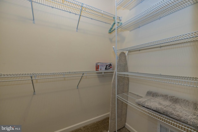 walk in closet with carpet
