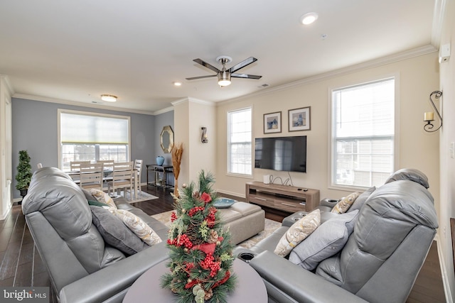 living area featuring dark wood-type flooring, a ceiling fan, healthy amount of natural light, ornamental molding, and recessed lighting
