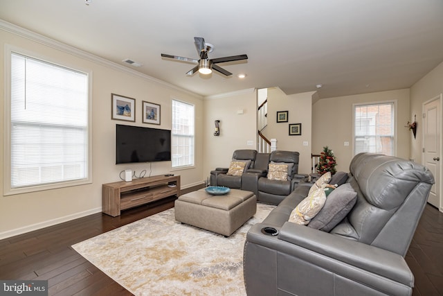 living room with ceiling fan, stairs, baseboards, dark wood-type flooring, and crown molding
