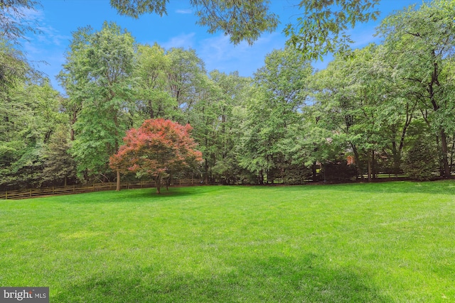 11476 Bronzedale Dr, Oakton, VA 22124 - view of yard