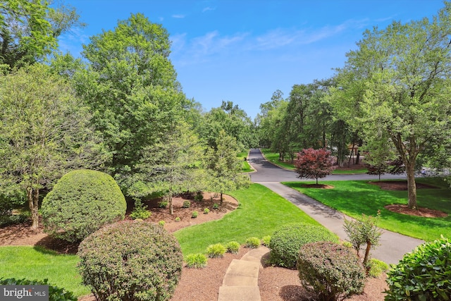 11476 Bronzedale Dr, Oakton, VA 22124 - view of home's community featuring a yard