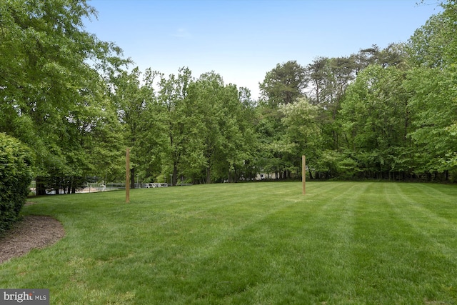 11476 Bronzedale Dr, Oakton, VA 22124 - view of grassy yard
