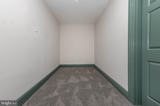 additional living space with carpet floors and baseboards