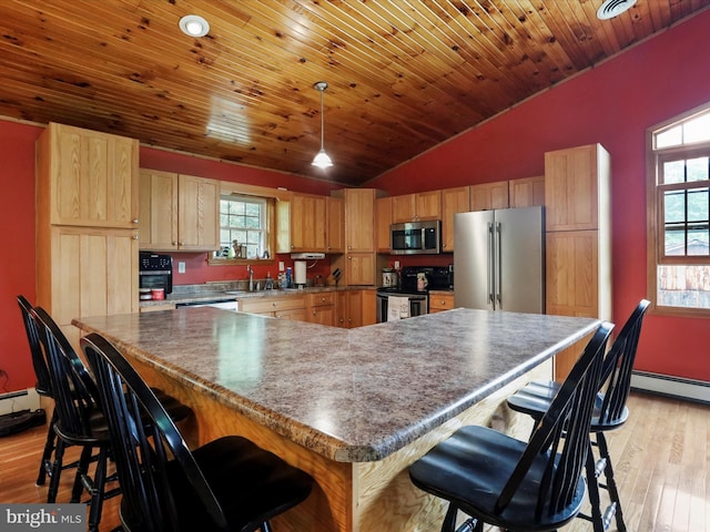 18421 Lower Georges Creek Rd SW, Barton, MD 21521 - kitchen featuring appliances with stainless steel finishes, vaulted ceiling, light wood-style floors, healthy amount of natural light, and wooden ceiling