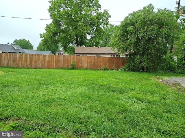 view of yard