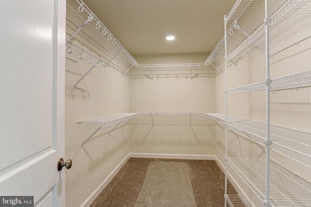 1406 Amosite Rd, Bainbridge, PA 17502 - spacious closet with carpet
