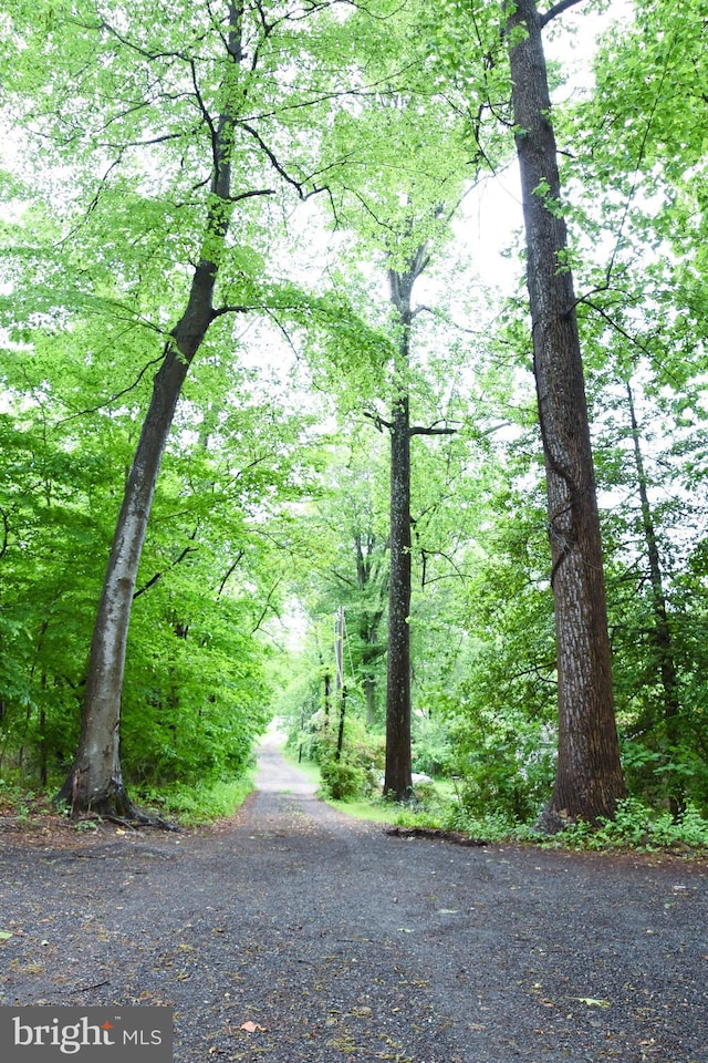 38 Behm Ln, Colora, MD 21917 - view of street with a view of trees