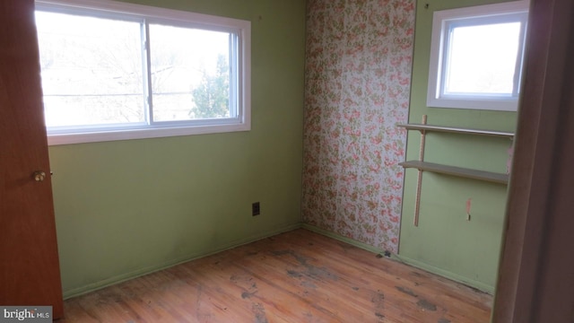 13 Sycamore Way, Hamilton, NJ 08690 - empty room featuring baseboards, wood finished floors, and wallpapered walls