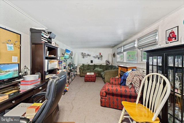30 San Diego Dr, Magnolia, NJ 08049 - view of carpeted living area