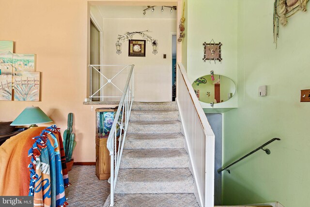 30 San Diego Dr, Magnolia, NJ 08049 - stairs with carpet