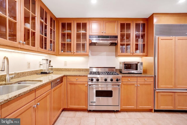 1155 23rd St NW Unit 2E, Washington, DC 20037 - kitchen with high end appliances, under cabinet range hood, a sink, glass insert cabinets, and light stone counters