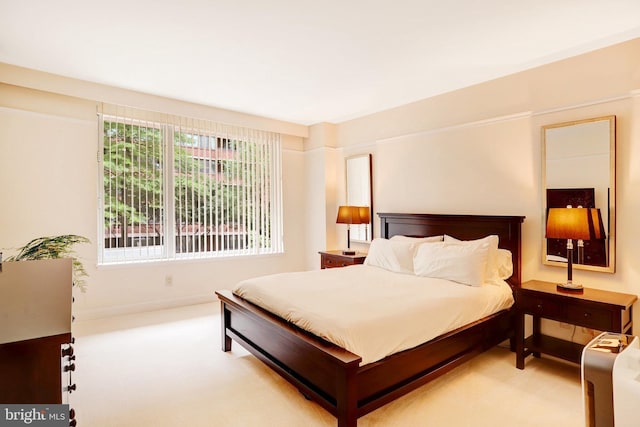 1155 23rd St NW Unit 2E, Washington, DC 20037 - bedroom featuring carpet and baseboards