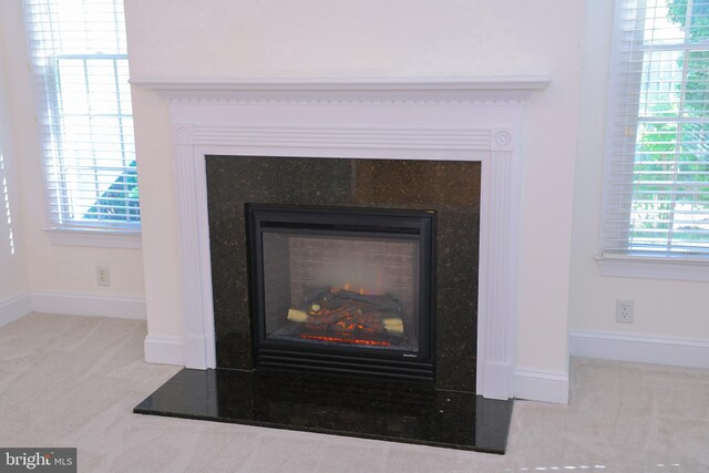 11504 Woodview Ct, Hagerstown, MD 21742 - detailed view of carpet floors, a glass covered fireplace, and baseboards