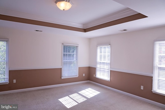 11504 Woodview Ct, Hagerstown, MD 21742 - empty room with crown molding, healthy amount of natural light, carpet flooring, and baseboards