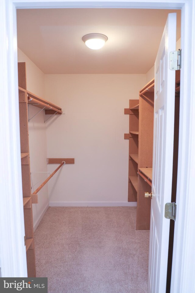 11504 Woodview Ct, Hagerstown, MD 21742 - walk in closet featuring carpet
