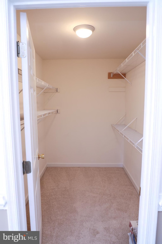 11504 Woodview Ct, Hagerstown, MD 21742 - walk in closet featuring carpet