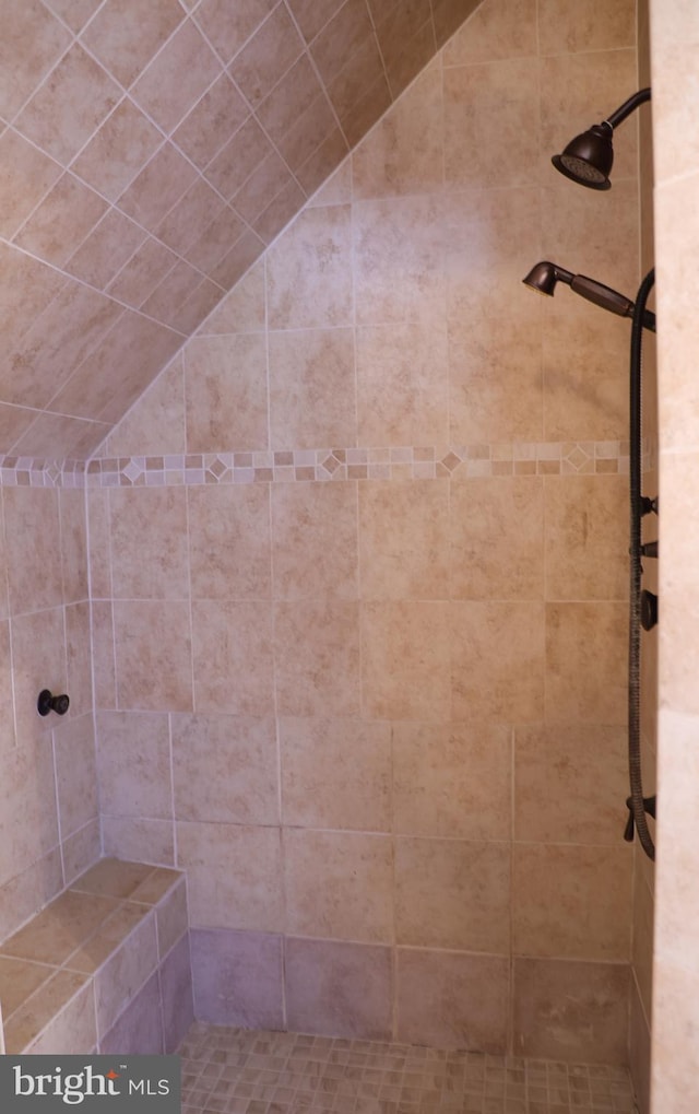 11504 Woodview Ct, Hagerstown, MD 21742 - bathroom featuring tiled shower