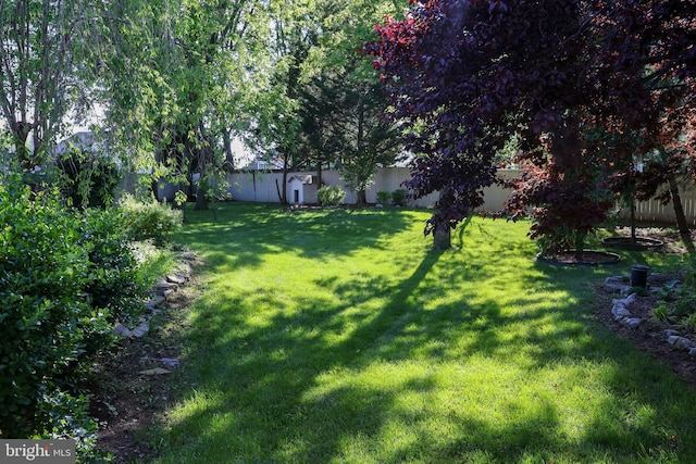 11504 Woodview Ct, Hagerstown, MD 21742 - view of yard