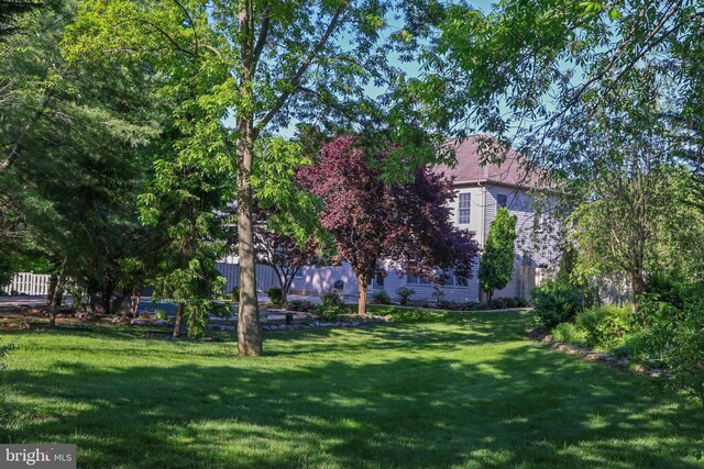 11504 Woodview Ct, Hagerstown, MD 21742 - view of green lawn