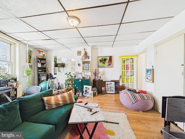 4714 Woodland Ave, Philadelphia, PA 19143 - living room with a paneled ceiling and wood finished floors