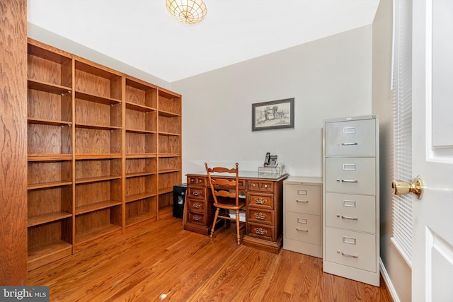 office featuring wood finished floors
