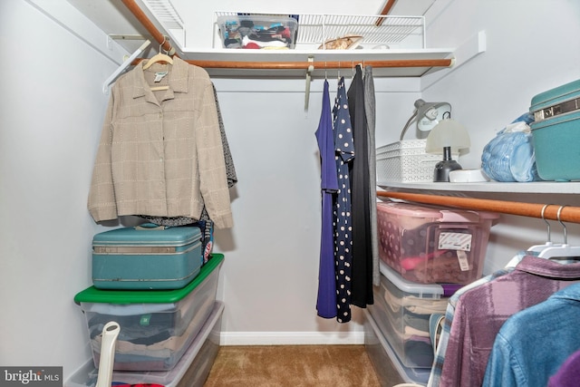 walk in closet with carpet floors