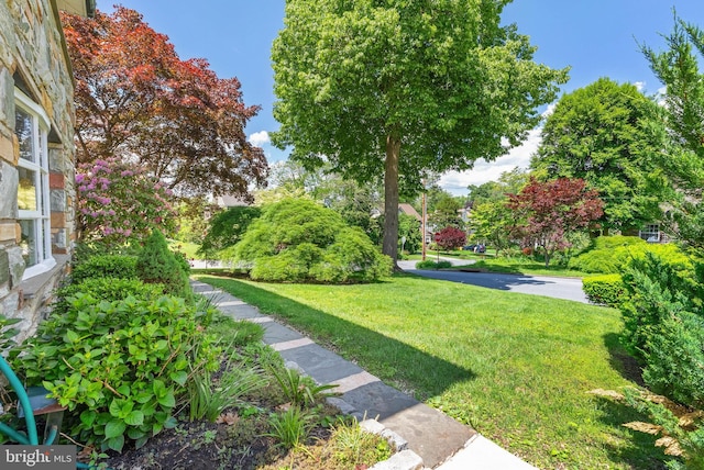 view of home's community with a lawn