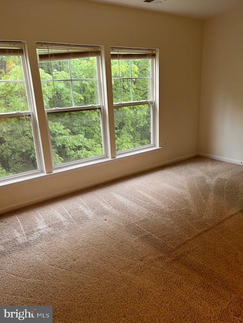 1910 Scaffold Way, Odenton, MD 21113 - unfurnished room with carpet flooring and baseboards