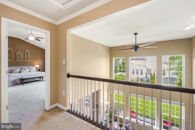 6218 Alan Linton Blvd W, Frederick, MD 21703 - hallway featuring carpet, plenty of natural light, and ornamental molding