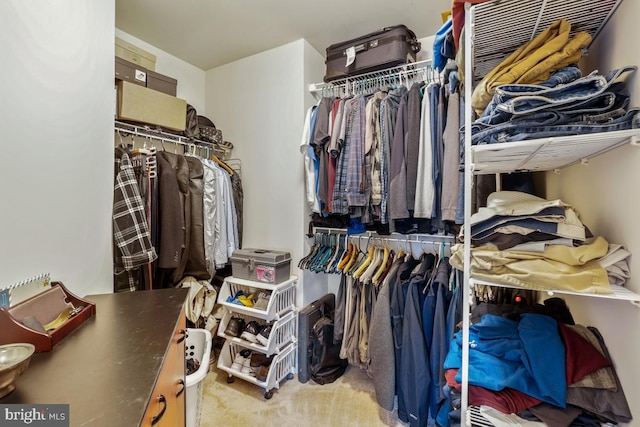 6218 Alan Linton Blvd W, Frederick, MD 21703 - walk in closet with carpet flooring