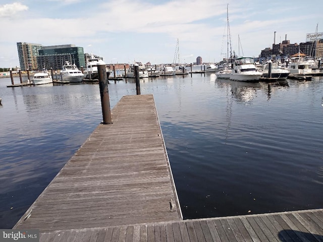 dock area with a water view