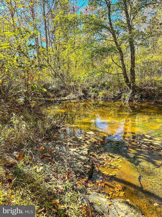 2052 Twenty Two Rd, Pamplin, VA 23958 - water view