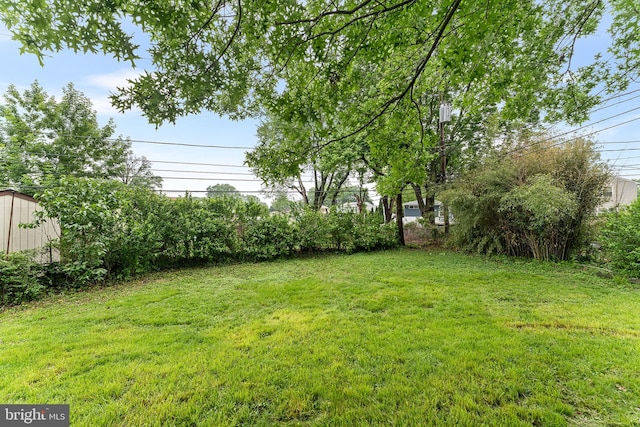 view of green lawn featuring an outdoor structure and a shed