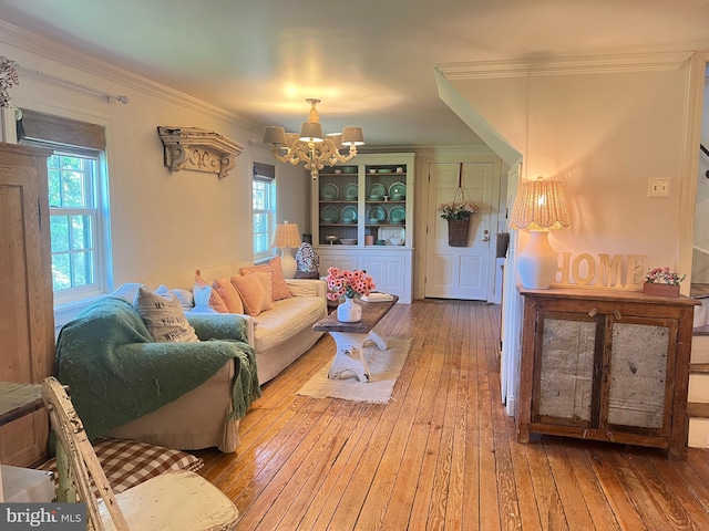 living area with hardwood / wood-style floors, a chandelier, healthy amount of natural light, and crown molding