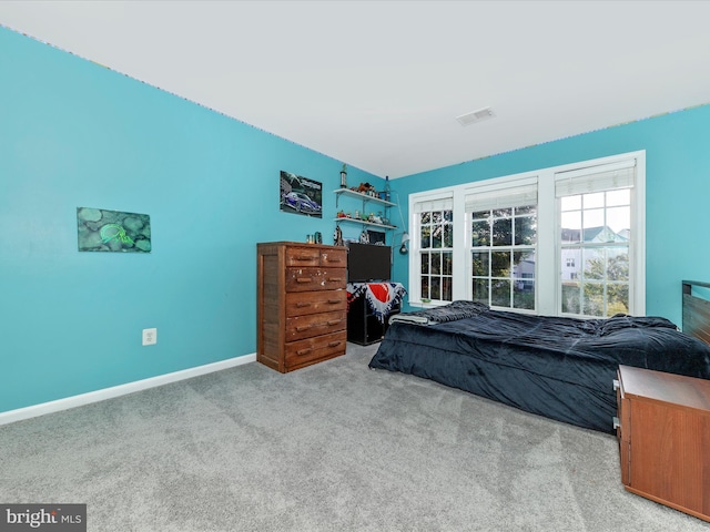 4 Jeffrey Ln, Brunswick, MD 21758 - carpeted bedroom with baseboards