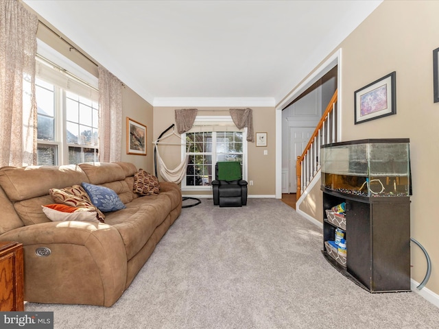 4 Jeffrey Ln, Brunswick, MD 21758 - living room featuring carpet, stairway, and crown molding