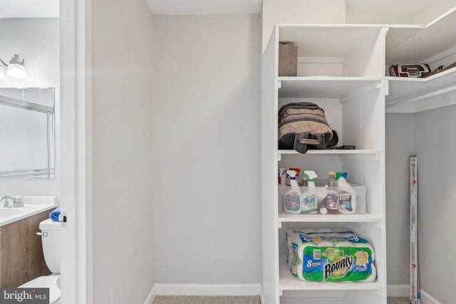 1111 Arlington Blvd Unit 810, Arlington, VA 22209 - view of closet