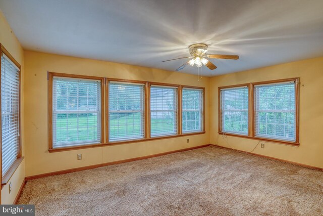 74 Connie Ln, Dover, DE 19901 - unfurnished room featuring ceiling fan, carpet, and baseboards