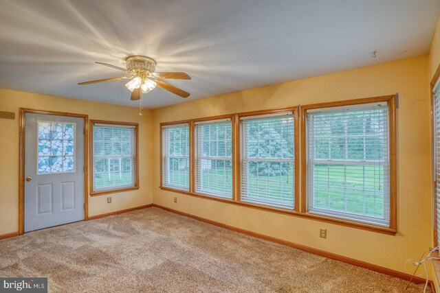 74 Connie Ln, Dover, DE 19901 - unfurnished sunroom featuring healthy amount of natural light