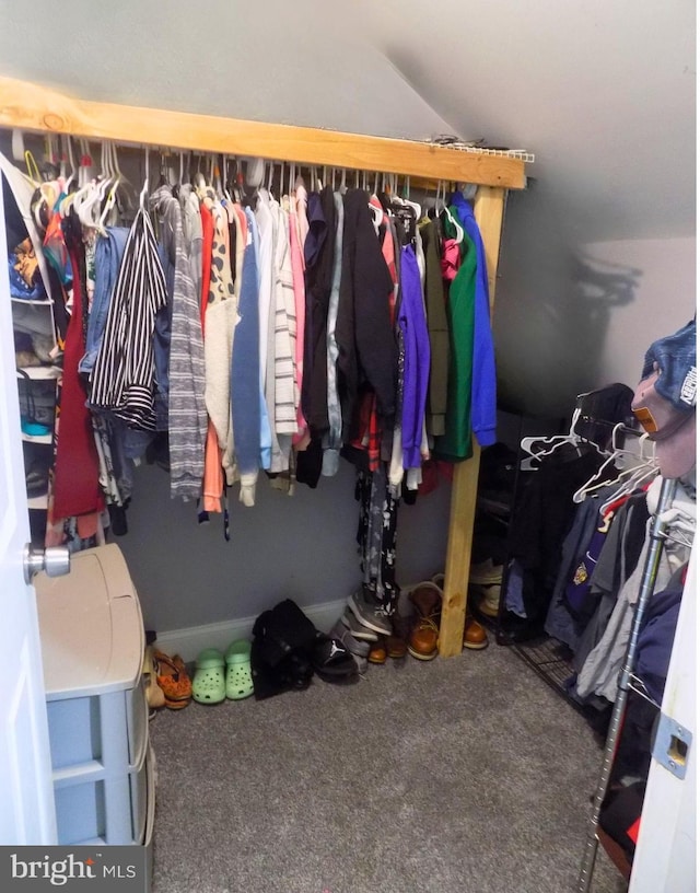 3016 Pennsylvania Ave, Lansdowne, MD 21227 - spacious closet with carpet floors and vaulted ceiling