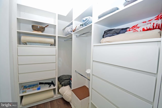 7012 Silverwood St, Philadelphia, PA 19128 - spacious closet with dark wood-style flooring