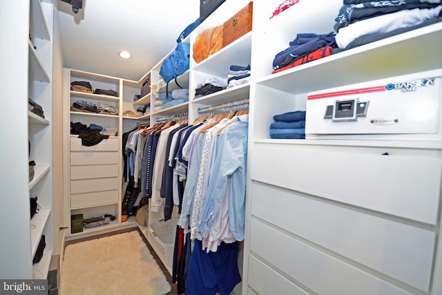 7012 Silverwood St, Philadelphia, PA 19128 - view of spacious closet