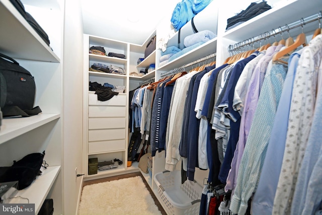 7012 Silverwood St, Philadelphia, PA 19128 - view of walk in closet