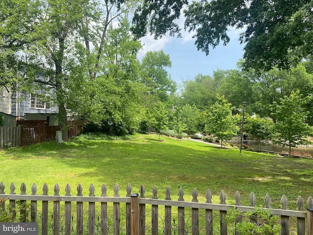 8111 Oaklake Ct, Alexandria, VA 22309 - view of yard