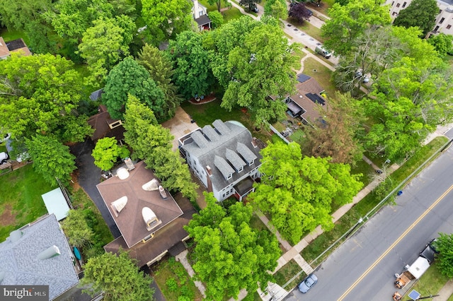 bird's eye view