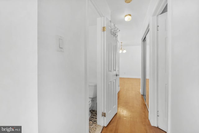 643 Saint Anthony Ln, Upper Darby, PA 19082 - hallway with light wood-style flooring