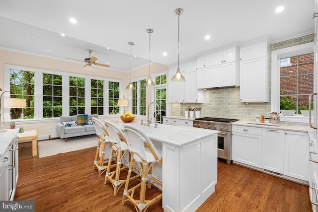 kitchen with stainless steel stove, a sink, a ceiling fan, ornamental molding, and wood finished floors