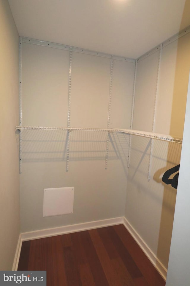 walk in closet with dark wood-style floors